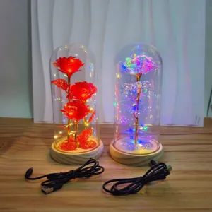 Detailed view of LED glass dome rose night light with wooden base and USB cable.