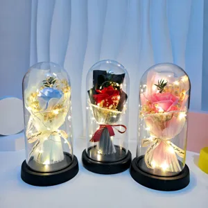Preserved rose glass dome with LED fairy lights, romantic gift for Valentine's Day.