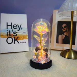 Eternal flower glass dome LED rose light gift for women Valentine birthday present