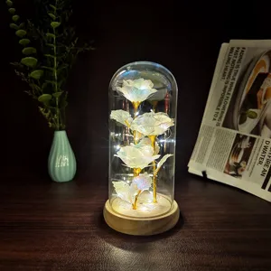 Galaxy gold foil rose flower glass dome night light romantic gift for girlfriend desktop lamp