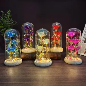 Galaxy gold foil rose glass dome night light with LED fairy lights for romantic gifts.