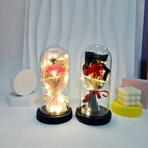 LED rose flower night light in glass dome, romantic gift for Valentine's Day and birthdays.