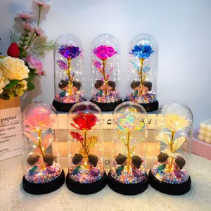 Eternal gold foil rose glass dome light with couple figurine romantic gift for Valentine's Day.