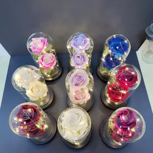 Detailed view of eternal rose glass dome with LED lights, perfect gift for romantic occasions.