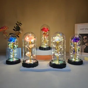 Colorful gold foil rose glass dome with LED lights, perfect romantic gift for Valentine's Day.