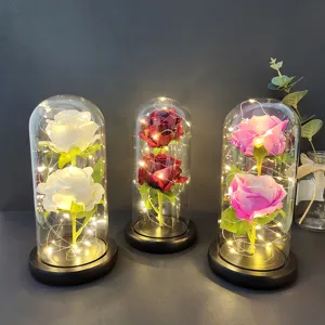 Preserved rose glass dome with LED string lights, romantic eternal flower gift for home decor.