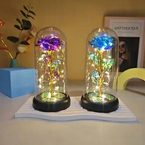 Gold foil rose glass dome light, romantic gift detail scene with LED fairy lights.