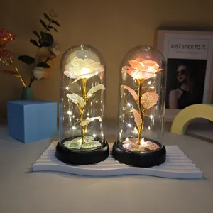 Rose Feuille d'Or Dôme en Verre Lumière LED Cadeau de Saint-Valentin Décoration Maison