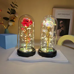 Gold foil rose flower in acrylic dome with LED lights, romantic gift for Valentine Day.