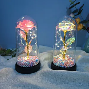 Gold foil rose glass dome night light with colorful LED fairy lights and cute base.