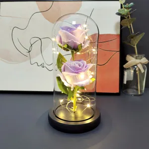 LED glass dome rose eternal flower romantic gift for Valentine's Day Mother's Day home decor.
