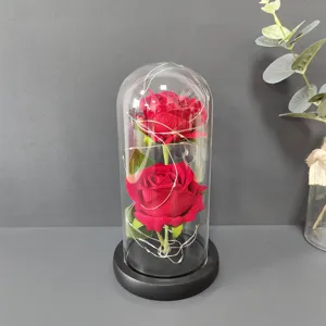 Preserved red rose glass dome with LED fairy lights, romantic gift and home decor detail shot.