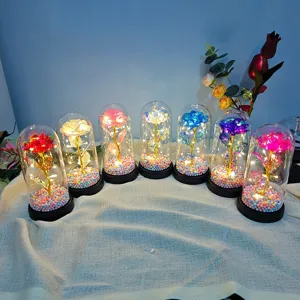Colorful gold foil rose flower LED night light in glass dome for romantic gifts.