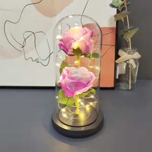 Romantic eternal rose glass dome with LED fairy lights, perfect gift for Valentine's Day.