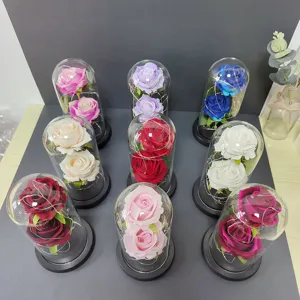 Glass Dome Rose Eternal Flower LED Light Gift Box Romantic Valentine's Day Decor