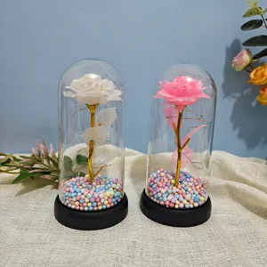 Close-up detail shot of eternal rose night light in clear dome with colorful foam base decoration.