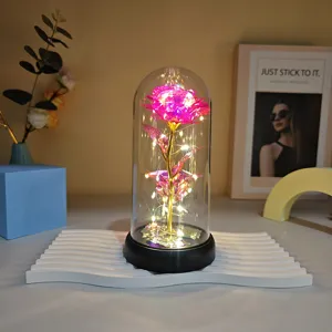 Gold foil rose glass dome LED night light eternal flower gift for Valentine's Day birthday.