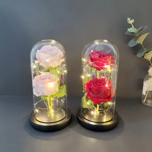 Preserved rose glass dome with LED fairy lights, romantic gift for Valentine's Day and Mother's Day.