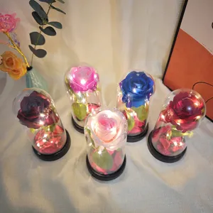 Veilleuse rose sous cloche en acrylique avec guirlande LED, cadeau romantique décoration.