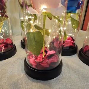 Couvercle en verre rose acrylique moyen avec guirlande LED, cadeau romantique Saint-Valentin.