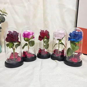 Vue détaillée de rose artificielle sous dôme en verre avec fleurs colorées et guirlande.