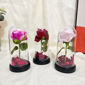 Fleur de rose artificielle en dôme de verre avec guirlande lumineuse LED pour décoration romantique.