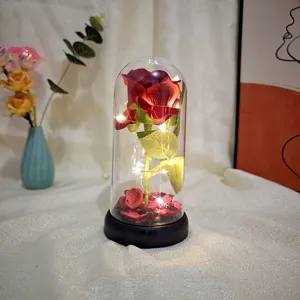 Rose rouge enchantée sous cloche en verre avec LED, cadeau romantique pour la saint valentin.
