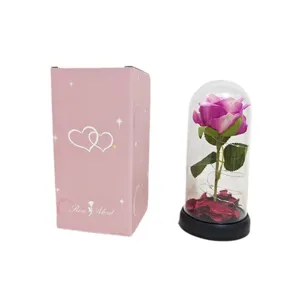 Dôme en verre de rose éternelle moyenne avec coffret cadeau, cadeau romantique Saint-Valentin.