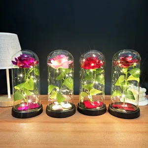 Vista dettagliata di affascinanti luci notturne a cupola di vetro con rose artificiali.