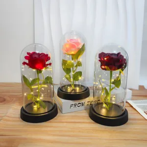Luce notturna rosa stabilizzata sotto cupola di vetro, romantica decorazione regalo donna.