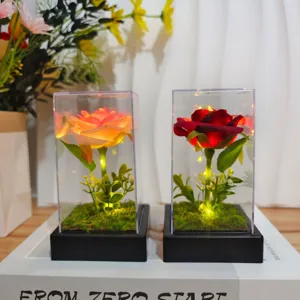 Preserved rose glass cover LED night light, romantic Valentine's gift for girlfriend room decor.