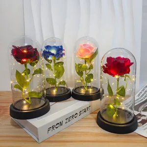 Cupola di vetro rosa eterna luce notturna LED, decorazione romantica regalo ideale.