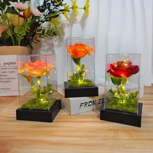 Preserved rose glass cover LED night light romantic Valentine's Day gift home decor lamp