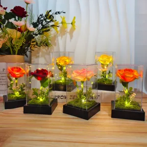 LED rose flower night light in clear display box romantic gift for Valentine day decor