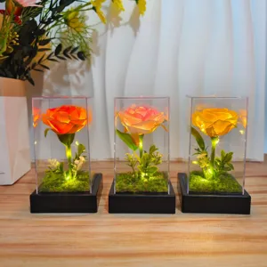 Detailed view of glowing rose night light in clear display case with warm LED lights.