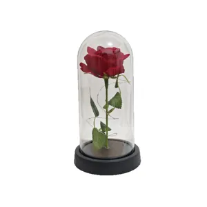Luce notturna con rosa rossa in cupola di vetro e lucine LED, regalo di decorazione romantica.