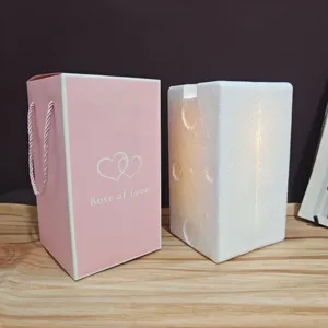 Pink gift bag and protective foam box set for creative night light packaging and present giving.