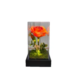 Eternal rose in glass dome with LED lights, perfect romantic Valentine's Day gift for girlfriend.