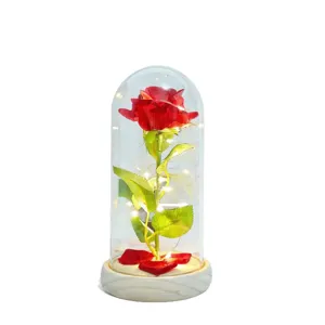 Eternal Rose Glass Dome LED Light Gift for Valentine's Day Home Decor Warm Romantic Present
