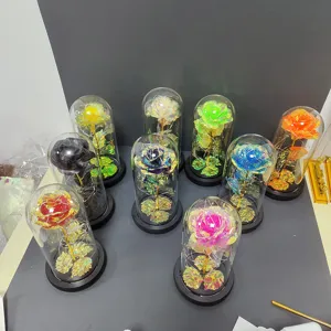 Colorful gold foil rose glass dome light gift for romantic Valentine day home decor