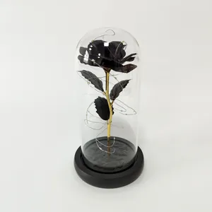 Close-up detail of black rose in glass dome with fairy LED string lights for romantic home decor.