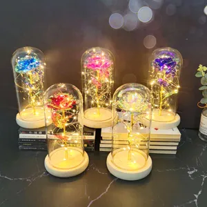 Galaxy gold foil rose glass dome light eternal flower gift for romantic valentines day