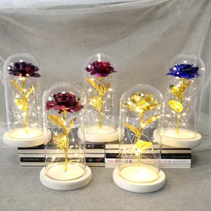 Gold foil rose glass dome light, LED fairy lights in wooden base for romantic gifts.