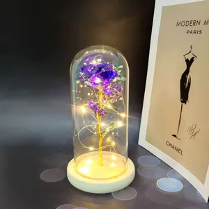 Close-up detail view of a glowing galaxy rose in a clear glass dome with warm LED fairy lights.