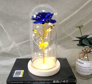 LED Gold Foil Rose Glass Dome Valentine Day Gift Forever Flower Home Decor Lamp Gift Box