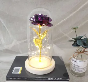 LED rose glass dome light romantic eternal flower gift for Valentine's Day party decor