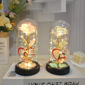 Veilleuse rose LED sous cloche en verre cadeau romantique Saint Valentin details.