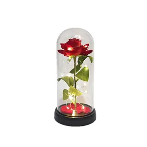 Lampada rosa LED in cupola di vetro con luci, regalo romantico per San Valentino e decorazione.