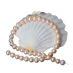 Filo di perle naturali d'acqua dolce sfuse 9-10mm perle quasi rotonde su sfondo di conchiglia