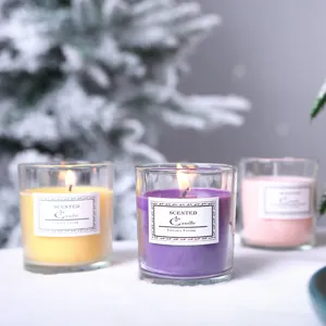 Ins Nordic Style Soy Wax Scented Candle In Glass Cup Aromatherapy Candle Home Decor Gift Photography Prop